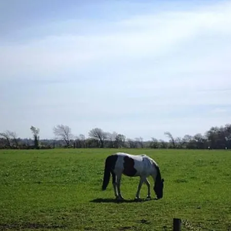 Ferienhaeuser In Duhnen - Ringwall Nordstern Cuxhaven